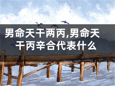 男命天干两丙,男命天干丙辛合代表什么