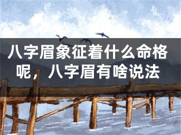 八字眉象征着什么命格呢,八字眉有啥说法