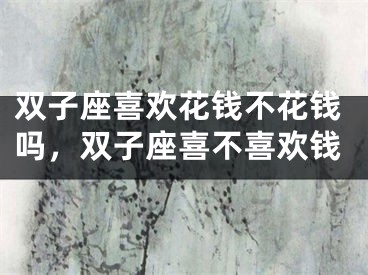 双子座喜欢花钱不花钱吗,双子座喜不喜欢钱