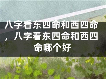 八字看东四命和西四命,八字看东四命和西四命哪个好