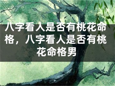 八字看人是否有桃花命格，八字看人是否有桃花命格男