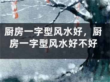 厨房一字型风水好，厨房一字型风水好不好