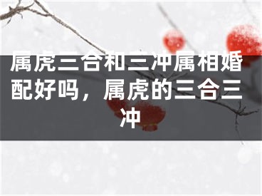 属虎三合和三冲属相婚配好吗，属虎的三合三冲