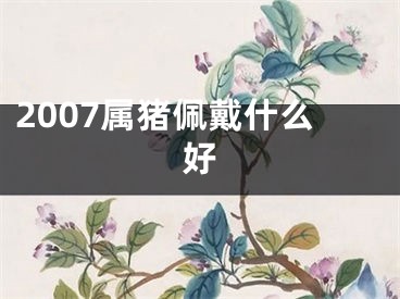 2007属猪佩戴什么好