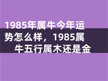 1985年属牛今年运势怎么样，1985属牛五行属木还是金