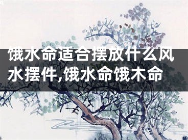 饿水命适合摆放什么风水摆件,饿水命饿木命
