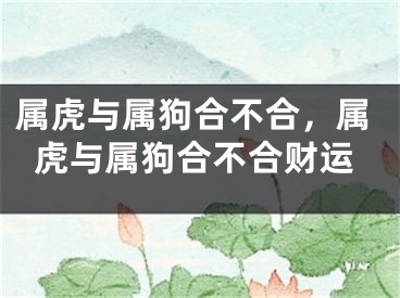 属虎与属狗合不合，属虎与属狗合不合财运