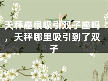 天秤座很吸引双子座吗，天秤哪里吸引到了双子