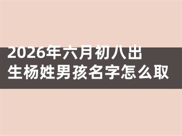 2026年六月初八出生杨姓男孩名字怎么取