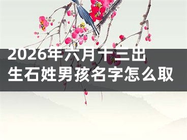 2026年六月十三出生石姓男孩名字怎么取