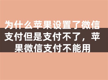 为什么苹果设置了微信支付但是支付不了，苹果微信支付不能用