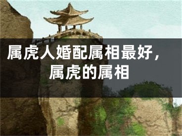 属虎人婚配属相最好，属虎的属相