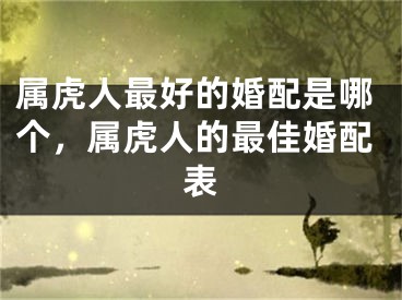 属虎人最好的婚配是哪个，属虎人的最佳婚配表