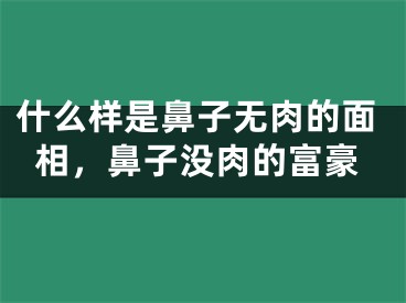 什么样是鼻子无肉的面相，鼻子没肉的富豪