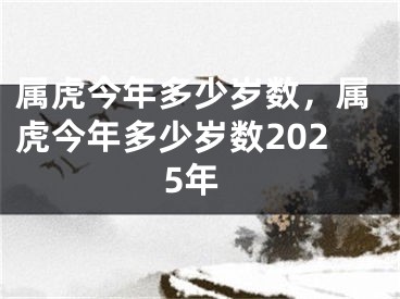 属虎今年多少岁数，属虎今年多少岁数2025年