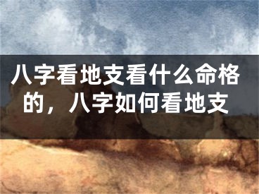 八字看地支看什么命格的，八字如何看地支