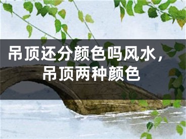 吊顶还分颜色吗风水,吊顶两种颜色