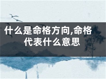什么是命格方向,命格代表什么意思
