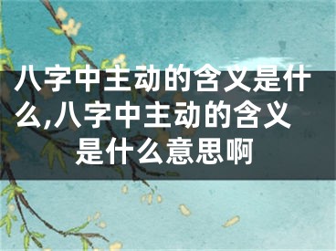 八字中主动的含义是什么,八字中主动的含义是什么意思啊