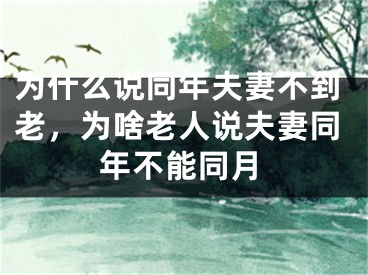 为什么说同年夫妻不到老，为啥老人说夫妻同年不能同月