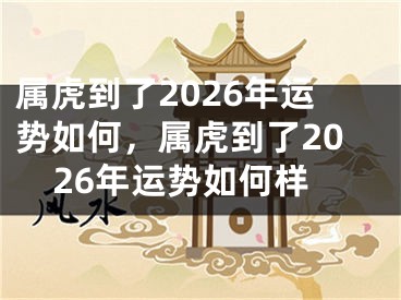 属虎到了2026年运势如何，属虎到了2026年运势如何样