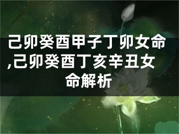 己卯癸酉甲子丁卯女命,己卯癸酉丁亥辛丑女命解析