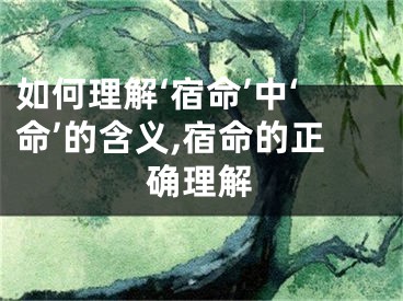 如何理解‘宿命’中‘命’的含义,宿命的正确理解