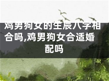 鸡男狗女的生辰八字相合吗,鸡男狗女合适婚配吗