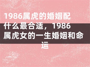 1986属虎的婚姻配什么最合适,1986属虎女的一生婚姻和命运