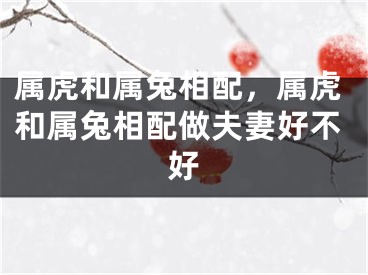 属虎和属兔相配，属虎和属兔相配做夫妻好不好