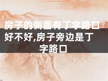 房子的侧面有丁字路口好不好,房子旁边是丁字路口