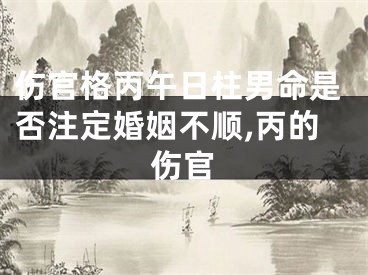伤官格丙午日柱男命是否注定婚姻不顺,丙的伤官