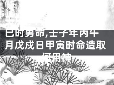 壬戌年丙午月丙子日癸巳时男命,壬子年丙午月戊戍日甲寅时命造取何用神
