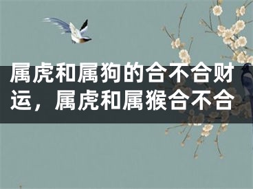 属虎和属狗的合不合财运，属虎和属猴合不合