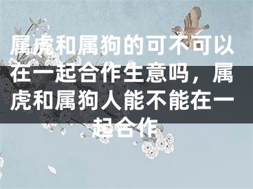 属虎和属狗的可不可以在一起合作生意吗，属虎和属狗人能不能在一起合作