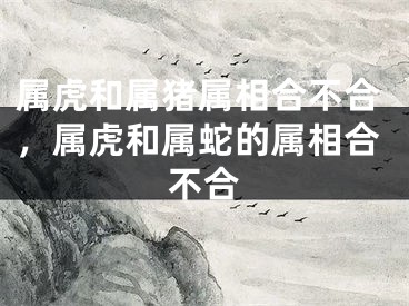 属虎和属猪属相合不合，属虎和属蛇的属相合不合