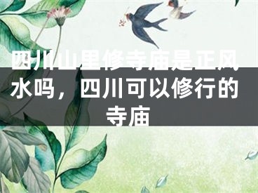 四川山里修寺庙是正风水吗,四川可以修行的寺庙