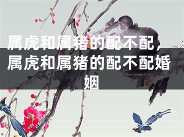 属虎和属猪的配不配，属虎和属猪的配不配婚姻