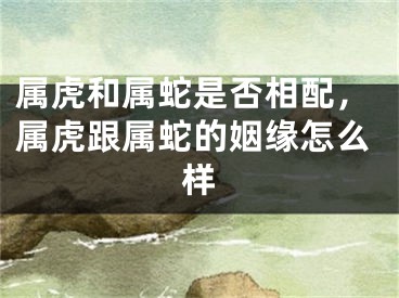 属虎和属蛇是否相配，属虎跟属蛇的姻缘怎么样