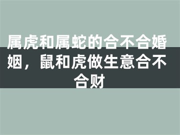属虎和属蛇的合不合婚姻，鼠和虎做生意合不合财