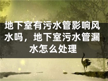 地下室有污水管影响风水吗,地下室污水管漏水怎么处理