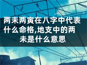 两未两寅在八字中代表什么命格,地支中的两未是什么意思