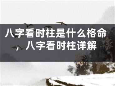 八字看时柱是什么格命,八字看时柱详解