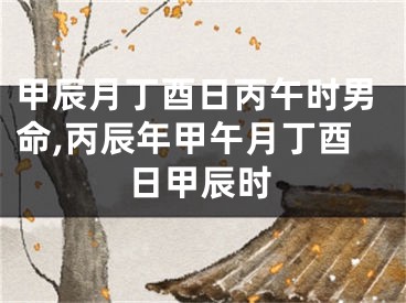 甲辰月丁酉日丙午时男命,丙辰年甲午月丁酉日甲辰时