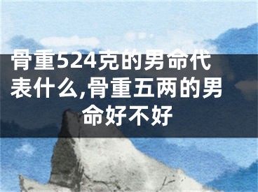 骨重524克的男命代表什么,骨重五两的男命好不好