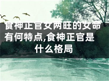 食神正官女两旺的女命有何特点,食神正官是什么格局