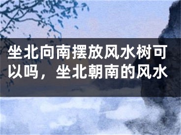 坐北向南摆放风水树可以吗，坐北朝南的风水