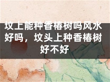 坟上能种香椿树吗风水好吗，坟头上种香椿树好不好