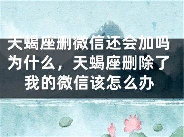天蝎座删微信还会加吗为什么，天蝎座删除了我的微信该怎么办