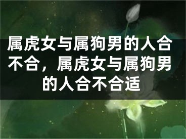 属虎女与属狗男的人合不合，属虎女与属狗男的人合不合适